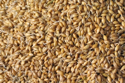 �c���鿴Ԕ��